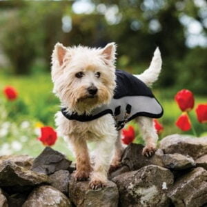 Rambo Hundtäcke sports serie