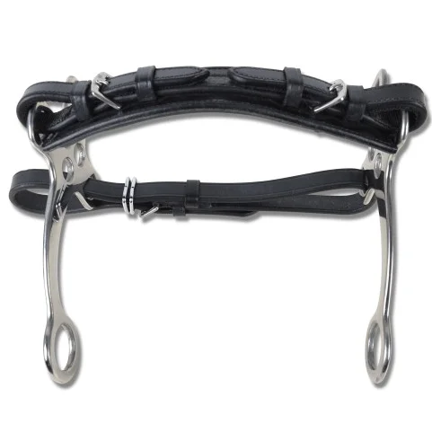 Hackamore