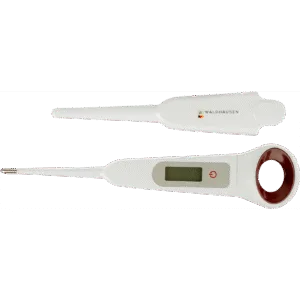 Digital thermometer