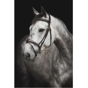 Träns Lippo Supreme Fancy