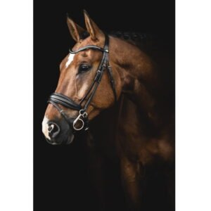 TRÄNS LIPPO SUPREME INTEGRO