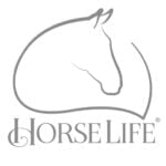 Horse life
