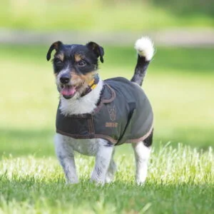 Vaxade Hundtäcke Digby och Fox