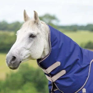 Shires Highlander hals 0 gram