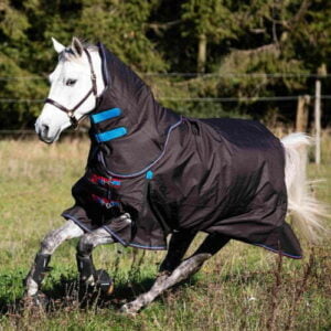 Täcke Shires Highlander plus 300 gram inkl hals