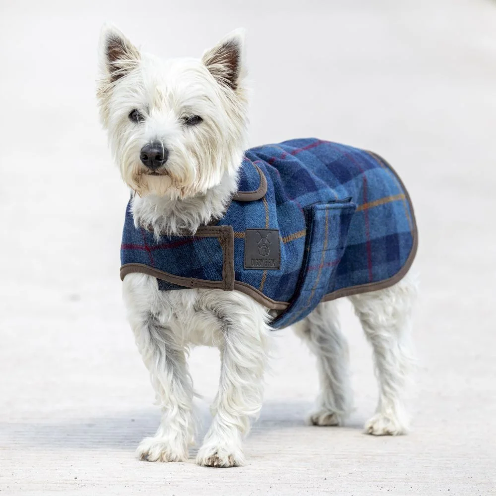 Digby & Fox tweed hundtäcke