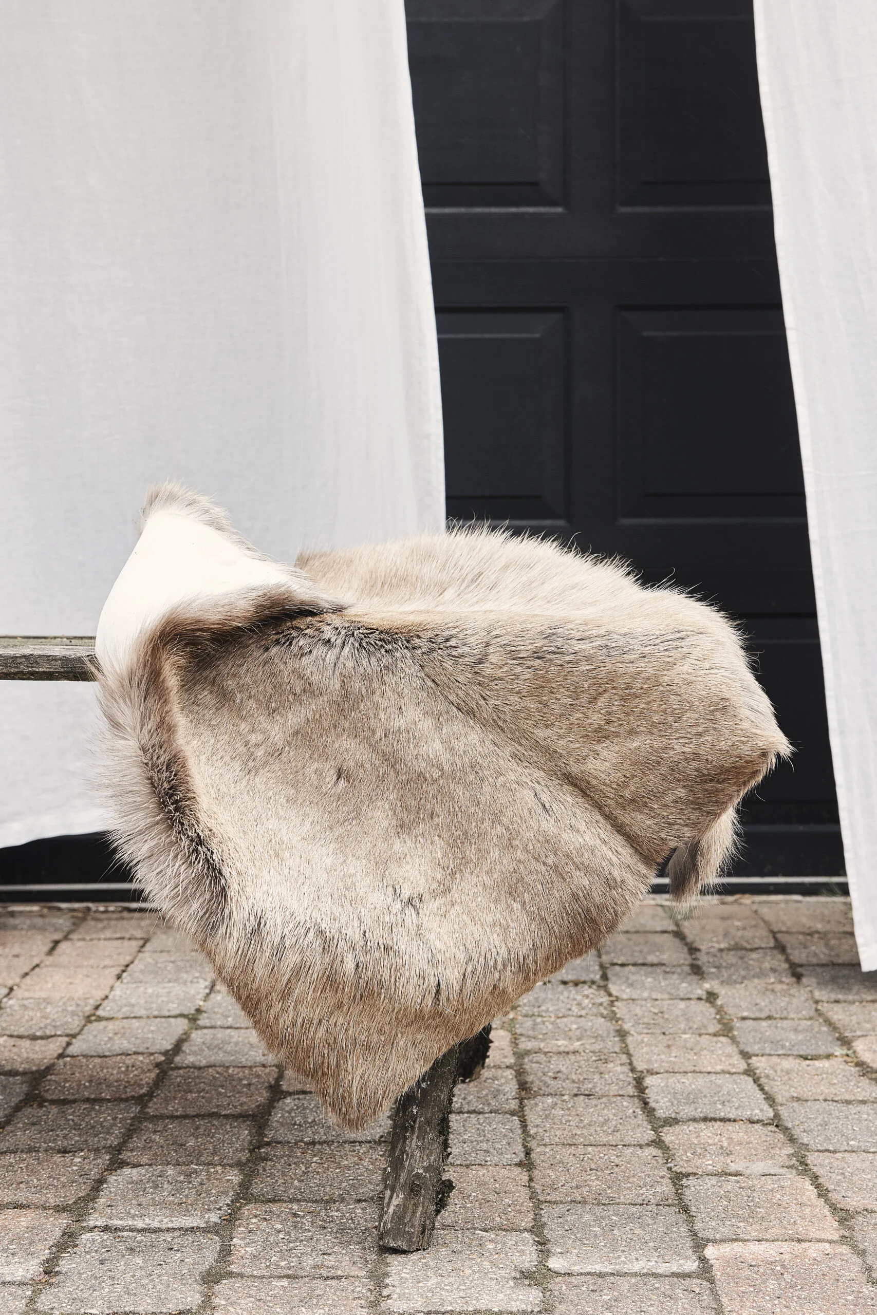 Renskinn till häst/renskinn till sadeln