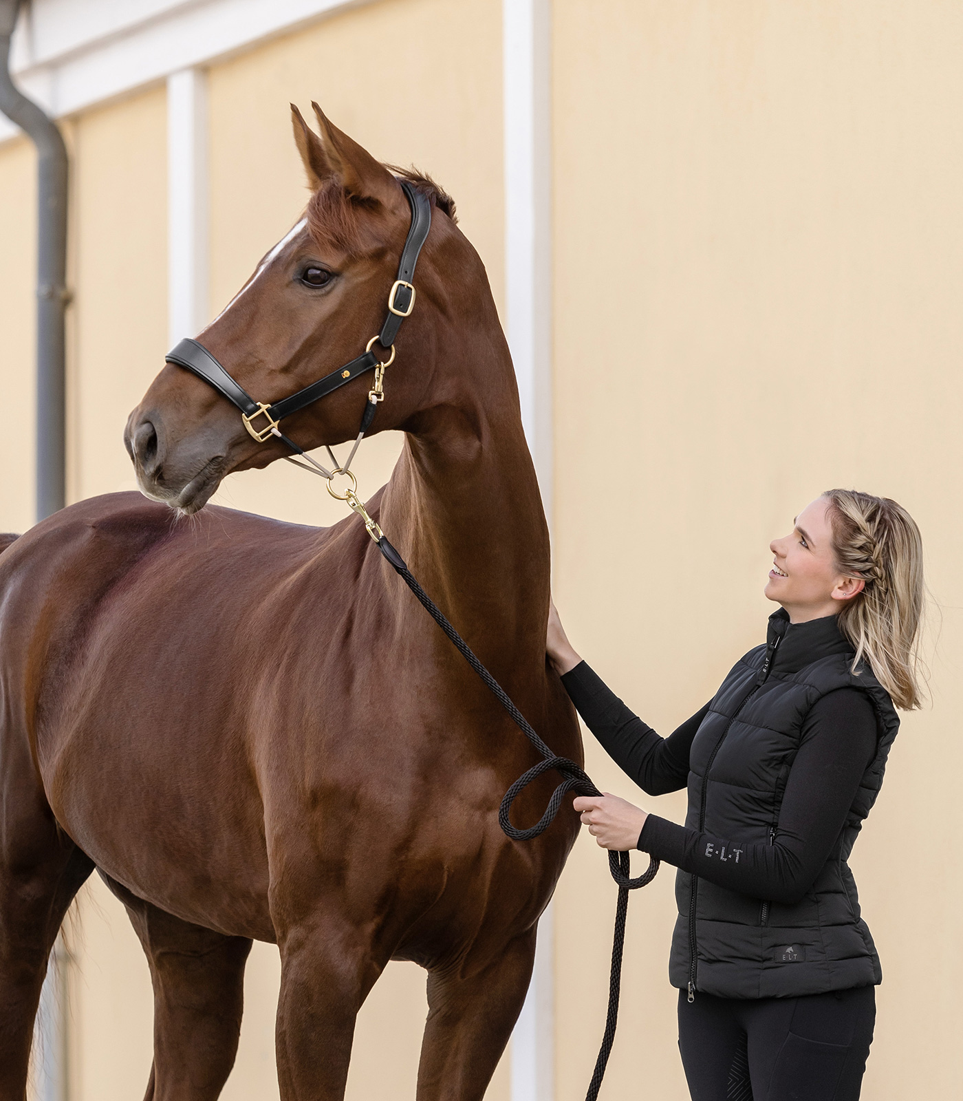 Lädergrimma S-Line Royal, svart, Full - Bild 4